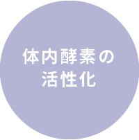 体内酵素の活性化