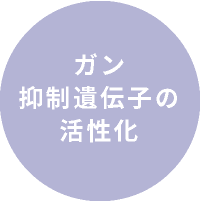 ガン抑制遺伝子の活性化