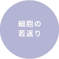 細胞の若返り