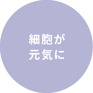 細胞が元気に