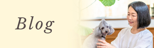 ブログ