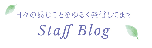 スタッフブログ